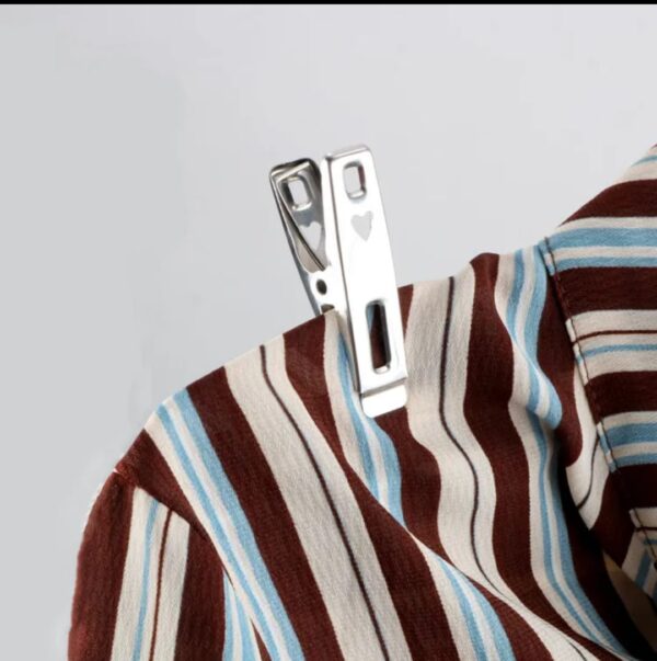 Stainless Steel Clips - Image 2